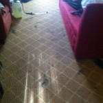 Martinez-Carpet-Clean-before