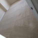 Martinez-Carpet-Clean-room