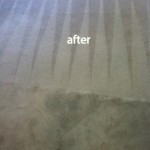 Martinez-Carpet-Cleaning-Carpet-Cleaning