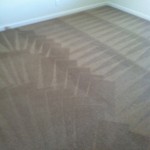 Martinez-Carpet-Cleaning-Wall-To-Wall