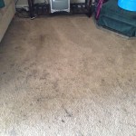 Martinez-Dirty-Carpet
